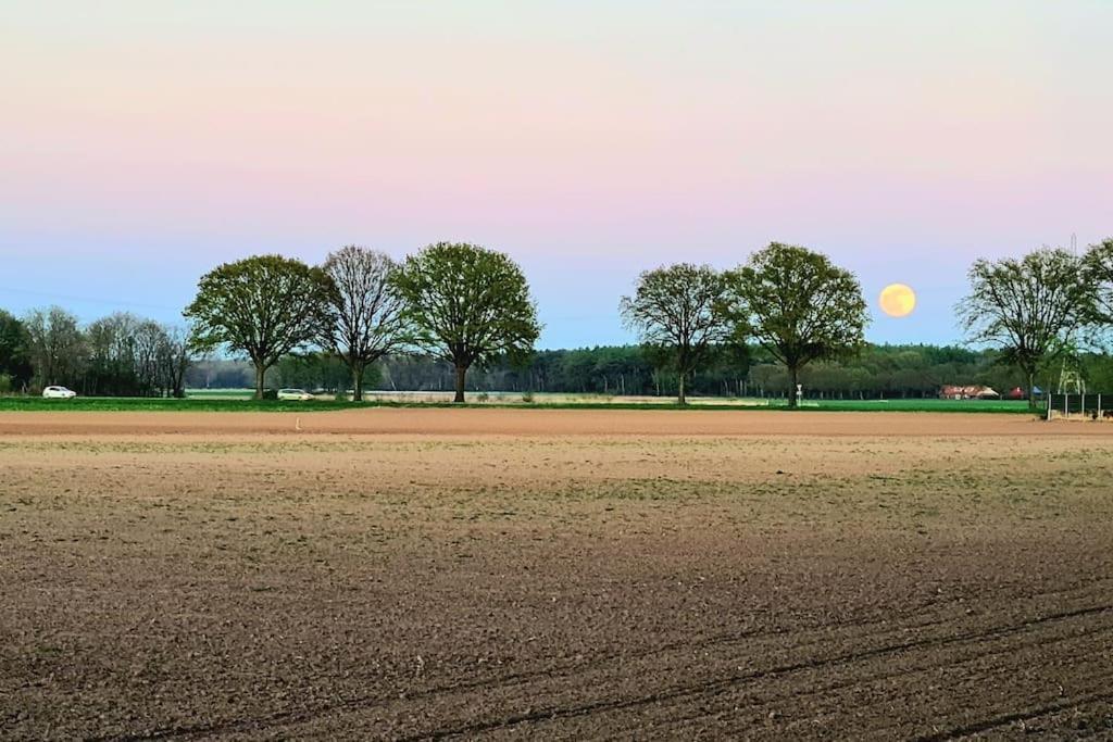 Ervaar Vredige Rust In Deze Charmante Knusse Bungalow Posterholt Zewnętrze zdjęcie